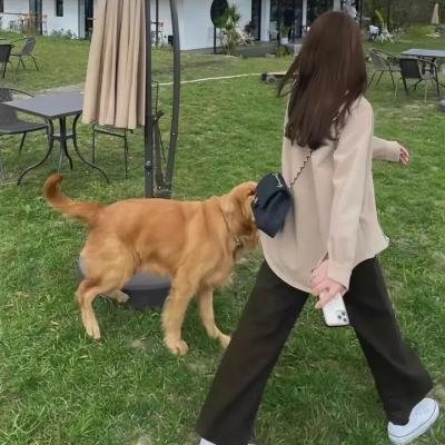 孟父三迁之教